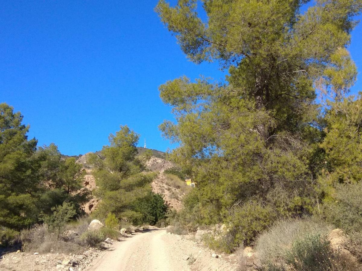 Finca El Carrascal มูร์เซีย ภายนอก รูปภาพ